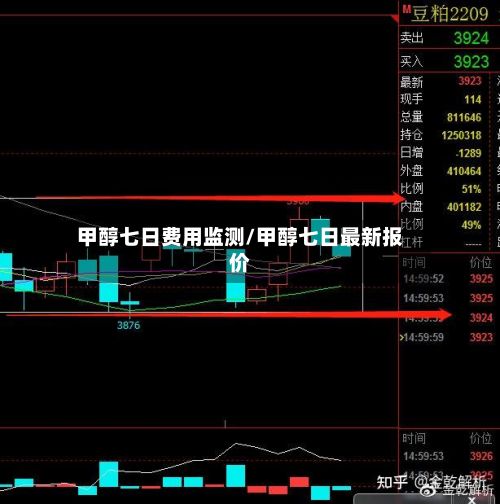 甲醇七日费用监测/甲醇七日最新报价-第3张图片