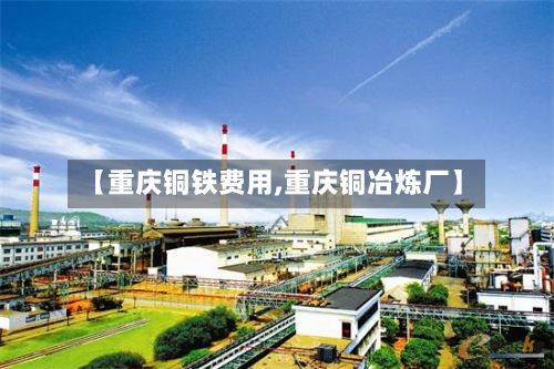 【重庆铜铁费用,重庆铜冶炼厂】