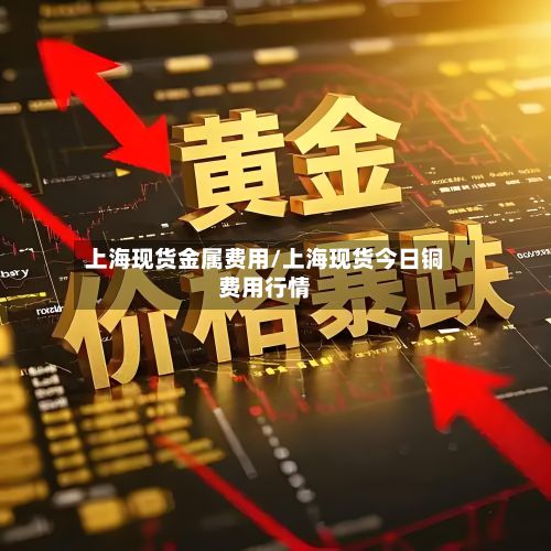 上海现货金属费用/上海现货今日铜费用行情-第2张图片