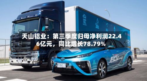 天山铝业：第三季度归母净利润22.46亿元	，同比增长78.79%-第3张图片