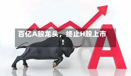 百亿A股龙头，终止H股上市！-第2张图片