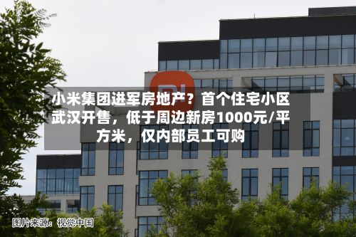 小米集团进军房地产？首个住宅小区武汉开售，低于周边新房1000元/平方米，仅内部员工可购-第2张图片