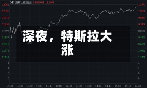 深夜，特斯拉大涨-第1张图片