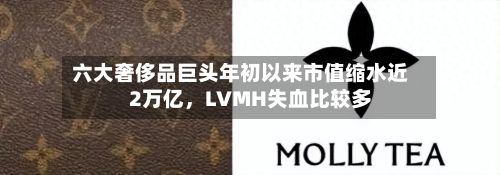 六大奢侈品巨头年初以来市值缩水近2万亿，LVMH失血比较多-第3张图片