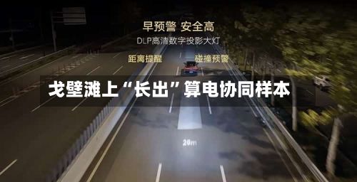 戈壁滩上“长出	”算电协同样本-第2张图片