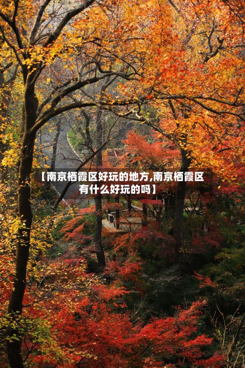 【南京栖霞区好玩的地方,南京栖霞区有什么好玩的吗】