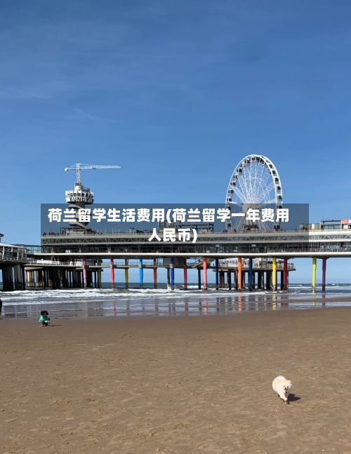 荷兰留学生活费用(荷兰留学一年费用人民币)