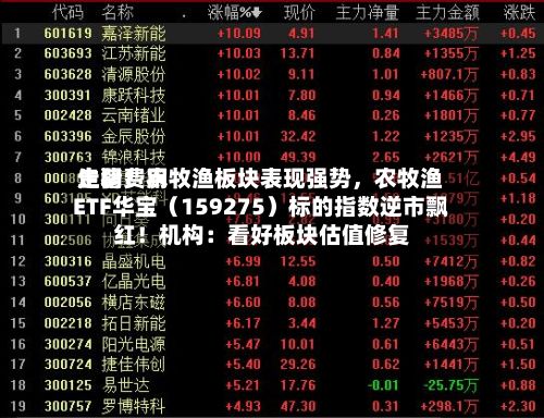 生猪费用走弱！农牧渔板块表现强势	，农牧渔ETF华宝（159275）标的指数逆市飘红！机构：看好板块估值修复-第2张图片