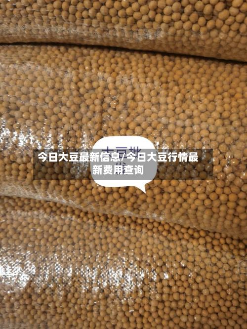 今日大豆最新信息/今日大豆行情最新费用查询-第2张图片