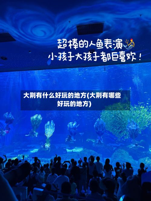 大荆有什么好玩的地方(大荆有哪些好玩的地方)-第2张图片