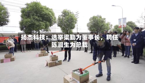 扬杰科技：选举梁勤为董事长，聘任陈润生为总裁-第3张图片