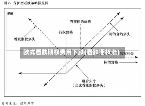 欧式看跌期权费用下跌(看跌期权涨)-第2张图片