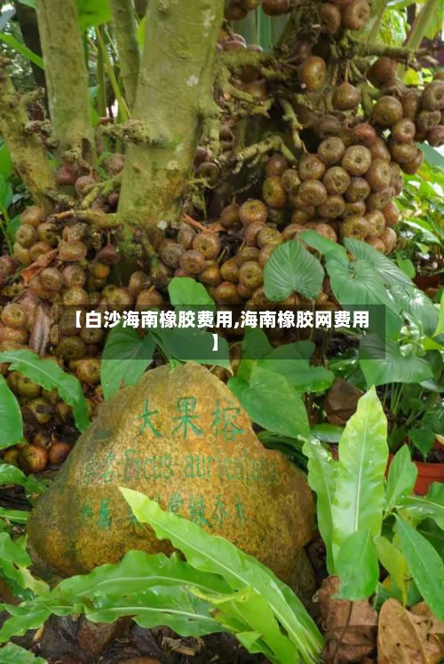 【白沙海南橡胶费用,海南橡胶网费用】