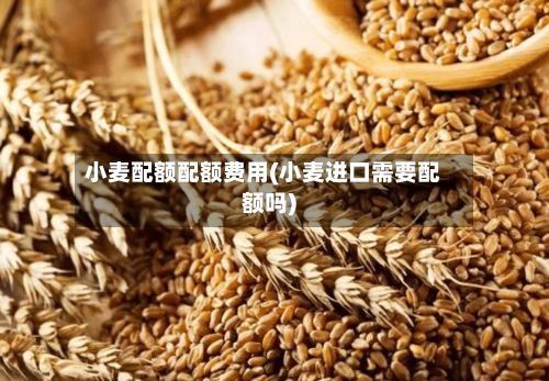 小麦配额配额费用(小麦进口需要配额吗)