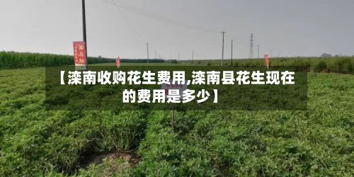 【滦南收购花生费用,滦南县花生现在的费用是多少】