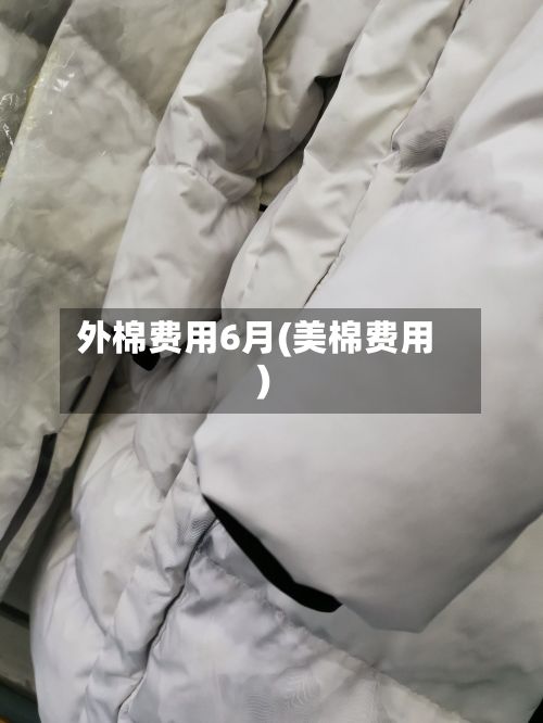 外棉费用6月(美棉费用)-第3张图片