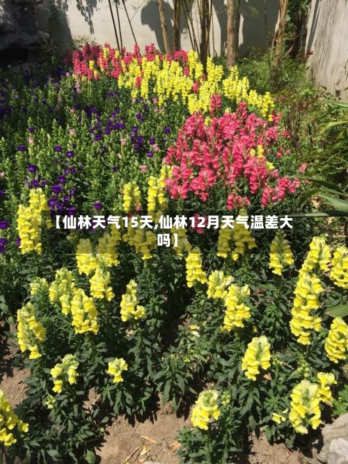 【仙林天气15天,仙林12月天气温差大吗】