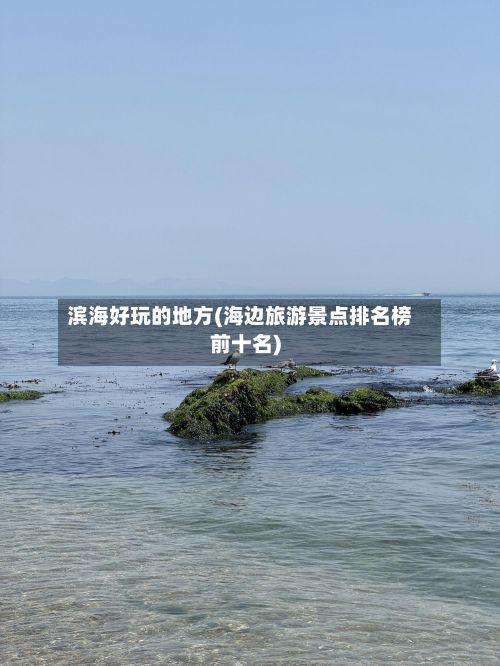 滨海好玩的地方(海边旅游景点排名榜前十名)-第2张图片