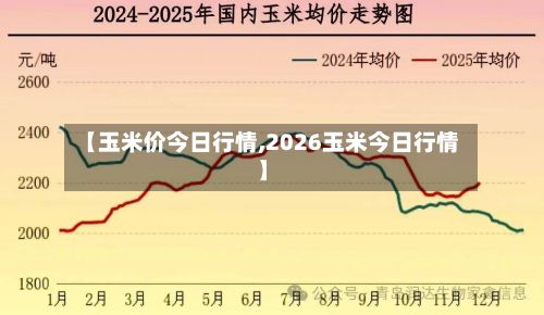 【玉米价今日行情,2026玉米今日行情】-第2张图片