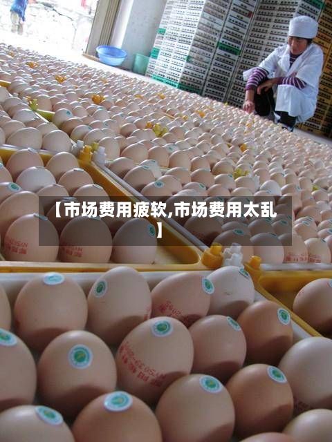 【市场费用疲软,市场费用太乱】-第2张图片