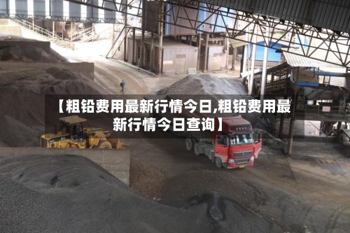 【粗铅费用最新行情今日,粗铅费用最新行情今日查询】-第2张图片