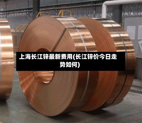 上海长江锌最新费用(长江锌价今日走势如何)