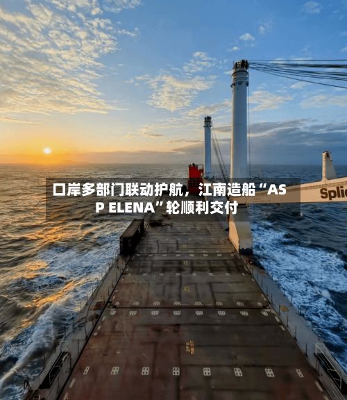 口岸多部门联动护航，江南造船“ASP ELENA”轮顺利交付-第3张图片