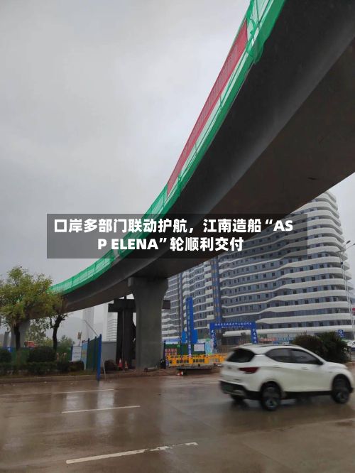 口岸多部门联动护航，江南造船“ASP ELENA”轮顺利交付