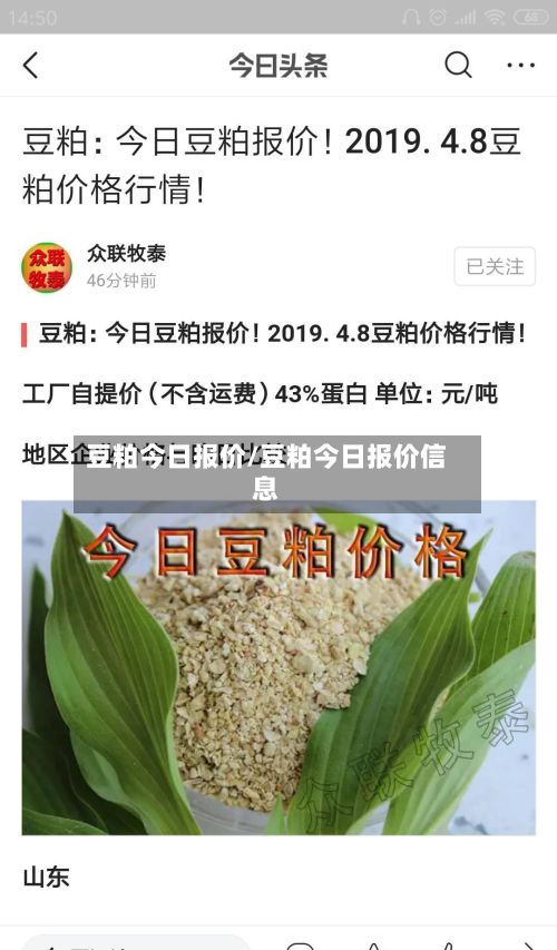豆粕今日报价/豆粕今日报价信息