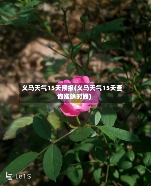 义马天气15天预报(义马天气15天查询准确时间)
