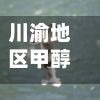 川渝地区甲醇费用/川渝地区甲醇出厂价