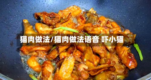 猫肉做法/猫肉做法语音 吓小猫