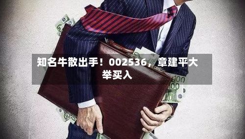 知名牛散出手！002536，章建平大举买入-第2张图片