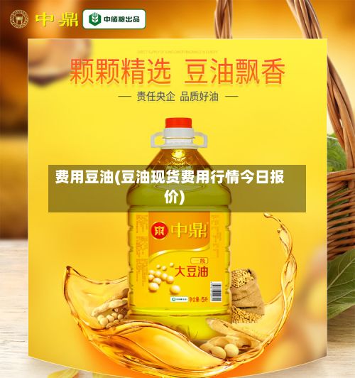 费用豆油(豆油现货费用行情今日报价)
