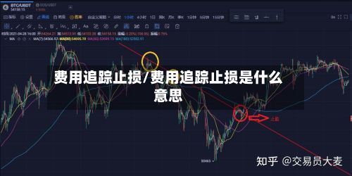 费用追踪止损/费用追踪止损是什么意思