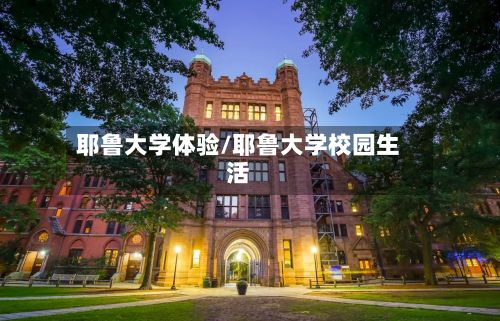 耶鲁大学体验/耶鲁大学校园生活-第2张图片