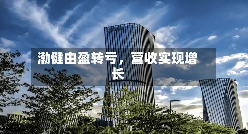 渤健由盈转亏，营收实现增长-第3张图片