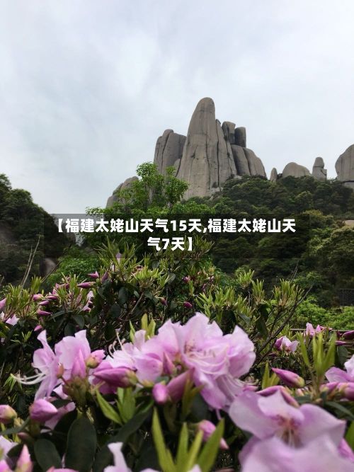 【福建太姥山天气15天,福建太姥山天气7天】-第2张图片
