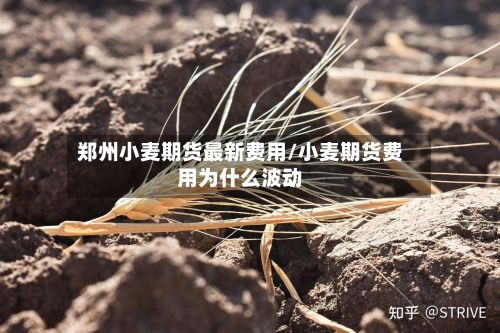 郑州小麦期货最新费用/小麦期货费用为什么波动-第3张图片