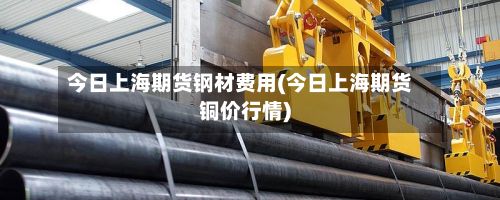 今日上海期货钢材费用(今日上海期货铜价行情)-第2张图片