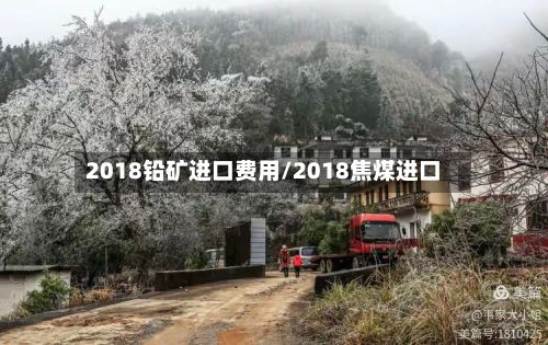 2018铅矿进口费用/2018焦煤进口