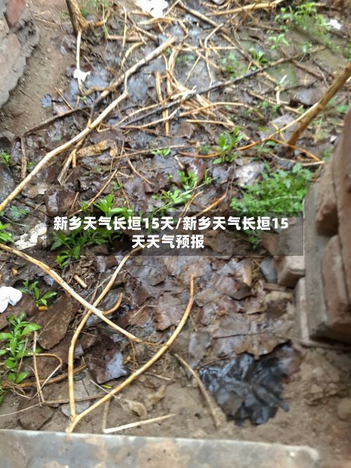 新乡天气长垣15天/新乡天气长垣15天天气预报-第2张图片