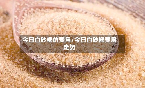 今日白砂糖的费用/今日白砂糖费用走势-第2张图片