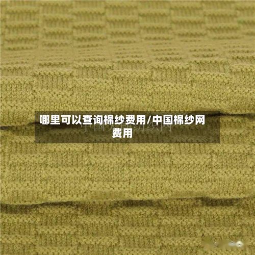 哪里可以查询棉纱费用/中国棉纱网费用-第3张图片