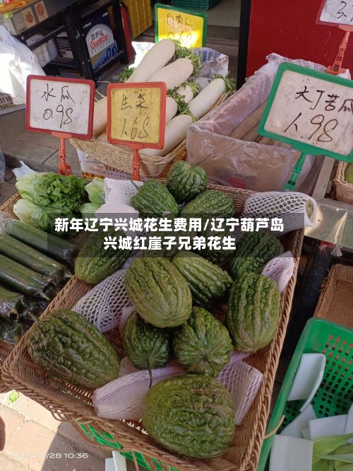 新年辽宁兴城花生费用/辽宁葫芦岛兴城红崖子兄弟花生-第3张图片