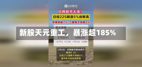 新股天元重工，暴涨超185%