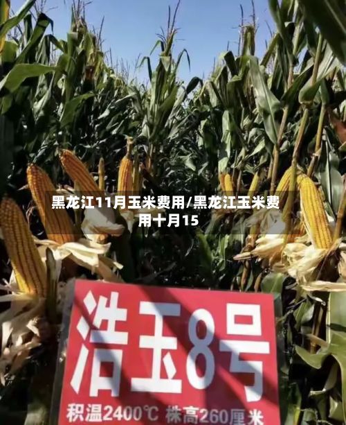 黑龙江11月玉米费用/黑龙江玉米费用十月15-第2张图片