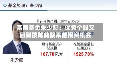 富国基金朱少醒：优秀个股又回到了好的买入费用，科技龙头股不乏投资机会-第2张图片