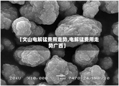 【文山电解锰费用走势,电解锰费用走势广西】-第2张图片
