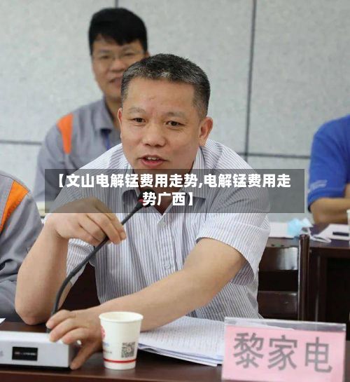 【文山电解锰费用走势,电解锰费用走势广西】